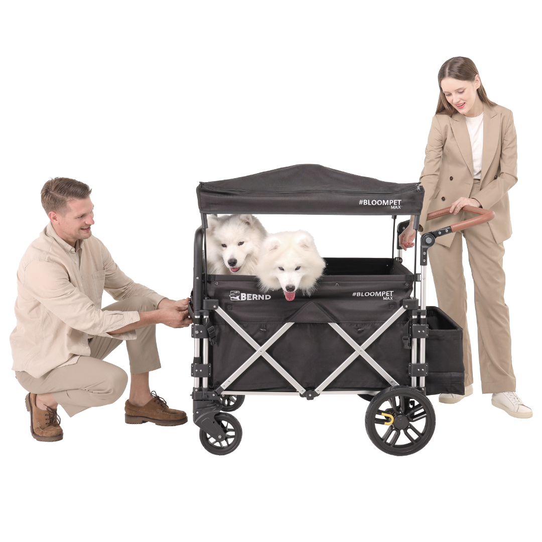 Bloom Pet MAX — Ansicht 4